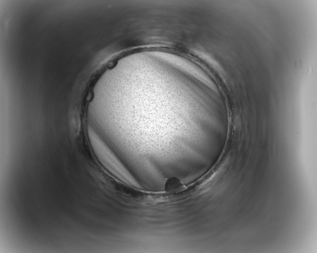 X0000088361407200706051015