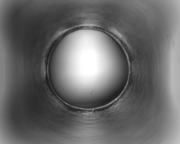 X0000088361408200706051015