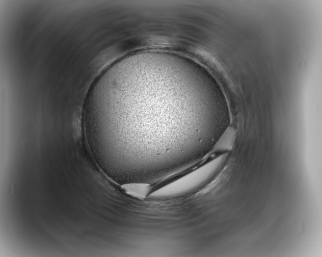 X0000088361409200706051015