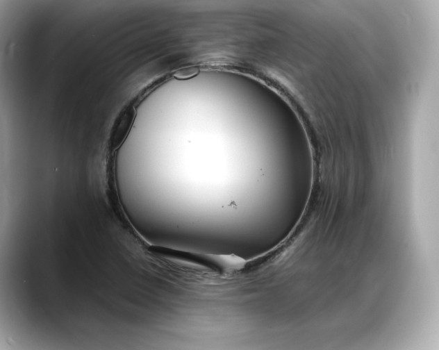 X0000088361410200706051015