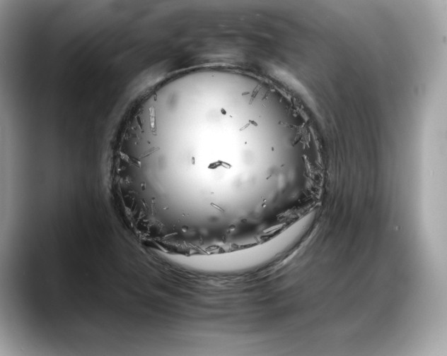 X0000088361411200706051015