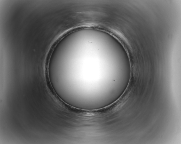 X0000088361412200706051015