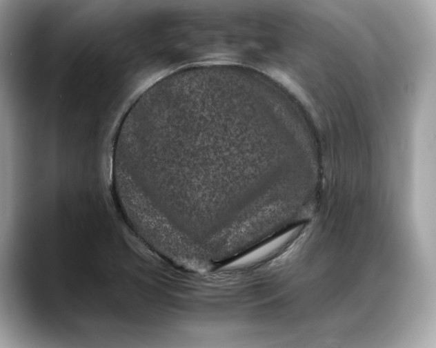 X0000088361413200706051015