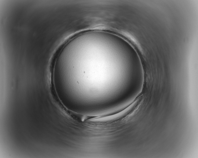 X0000088361414200706051015