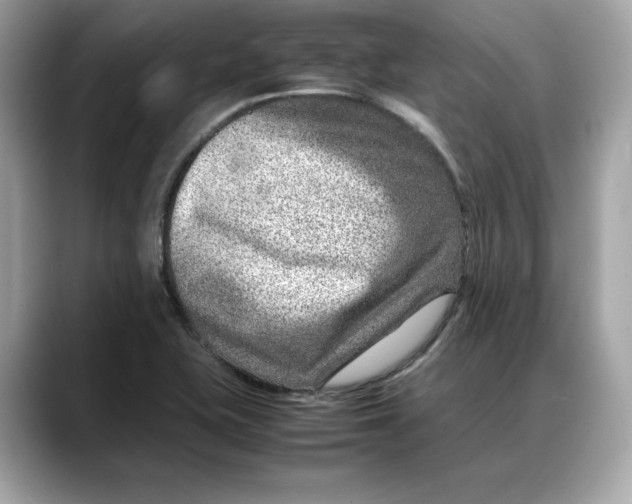 X0000088361415200706051015