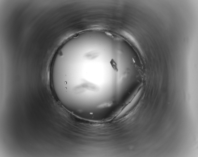 X0000088361419200706051015