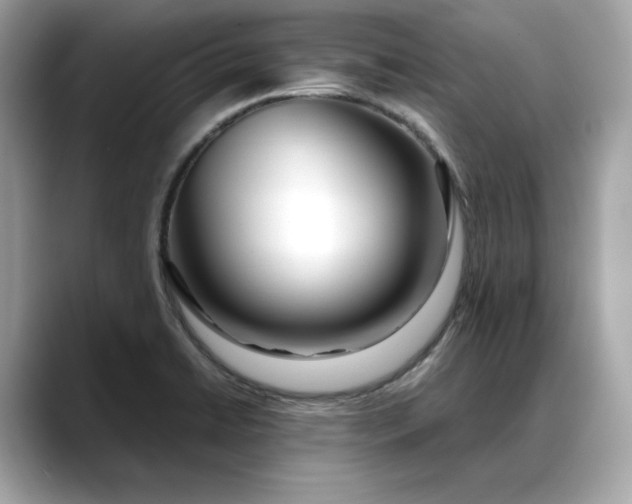 X0000088361422200706051015