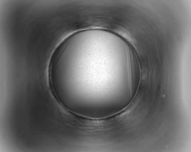 X0000088361423200706051015