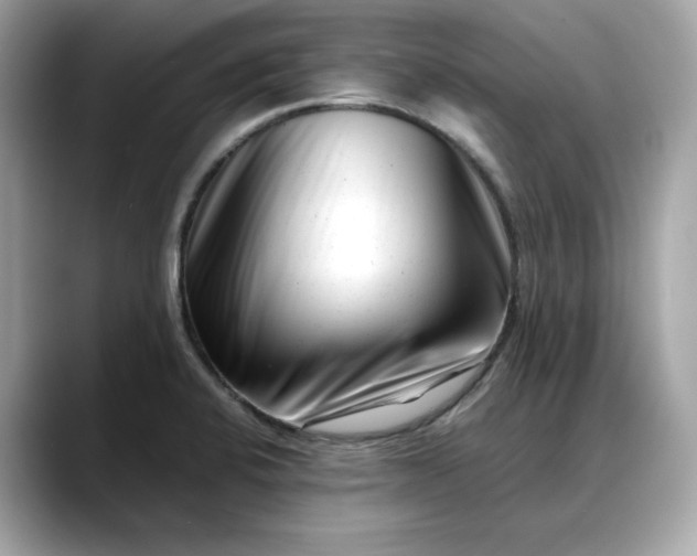 X0000088361424200706051015