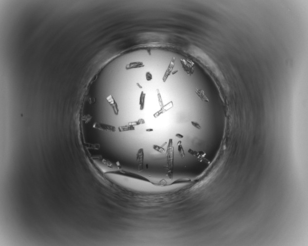 X0000088361425200706051015