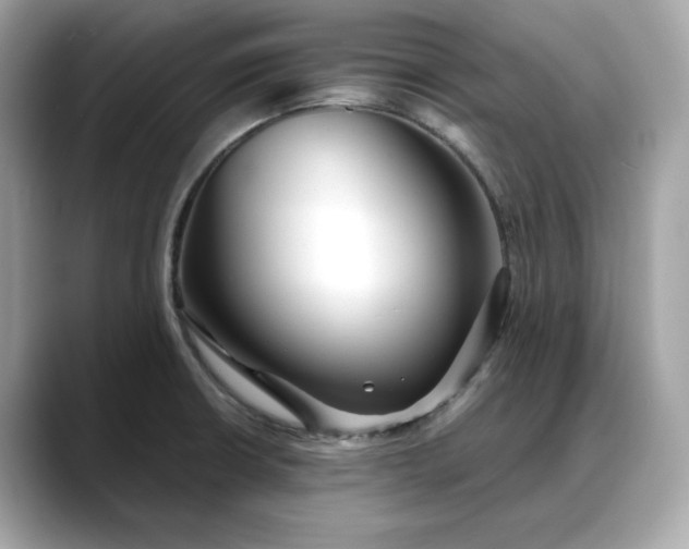 X0000088361426200706051015