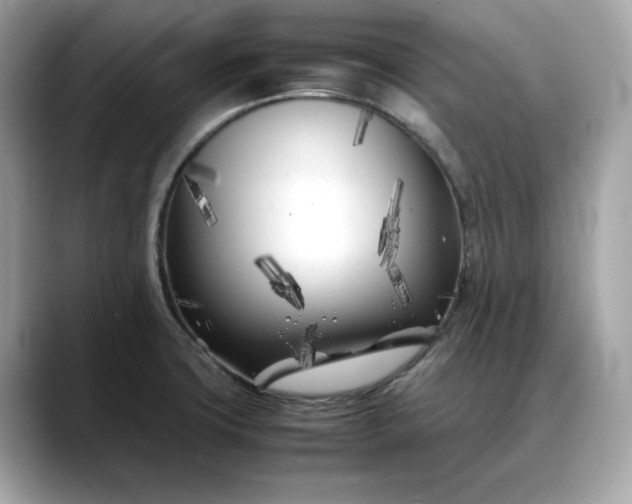 X0000088361427200706051015