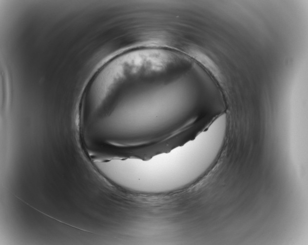 X0000088361428200706051015