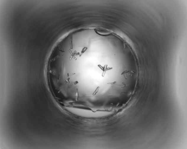 X0000088361429200706051015