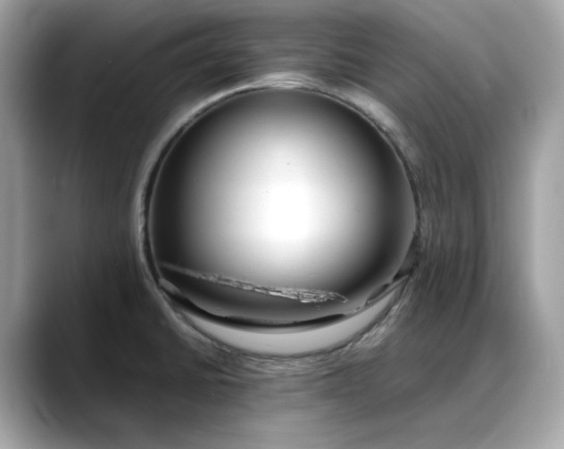 X0000088361430200706051015