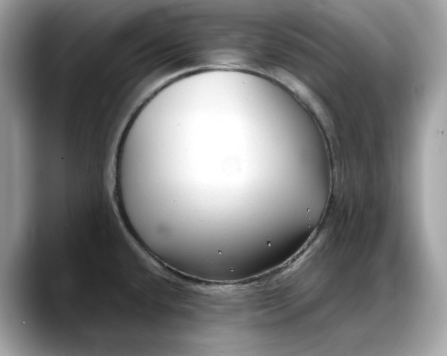 X0000088361432200706051015