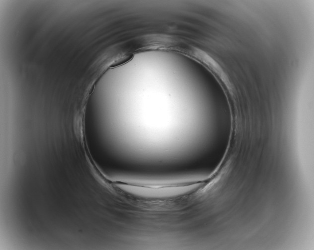 X0000088361433200706051015