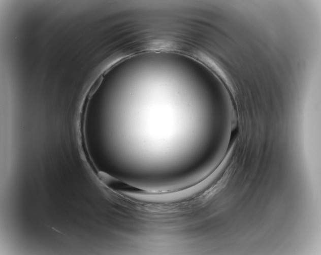 X0000088361434200706051015