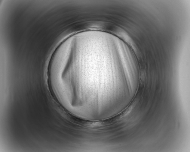 X0000088361435200706051015