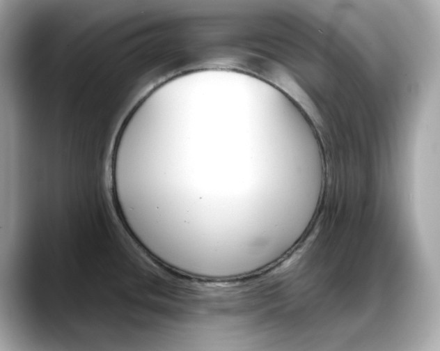 X0000088361436200706051015