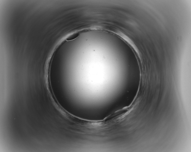 X0000088361437200706051015