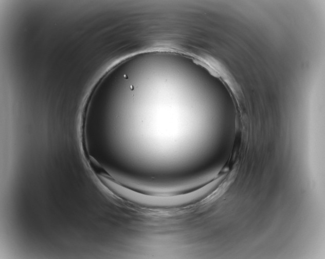 X0000088361438200706051015