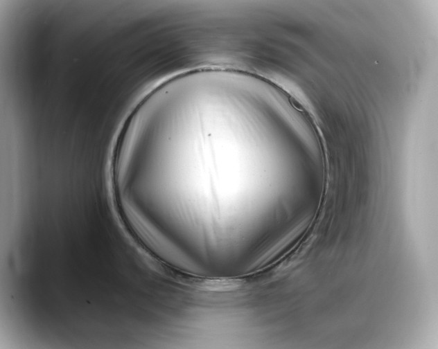 X0000088361440200706051015