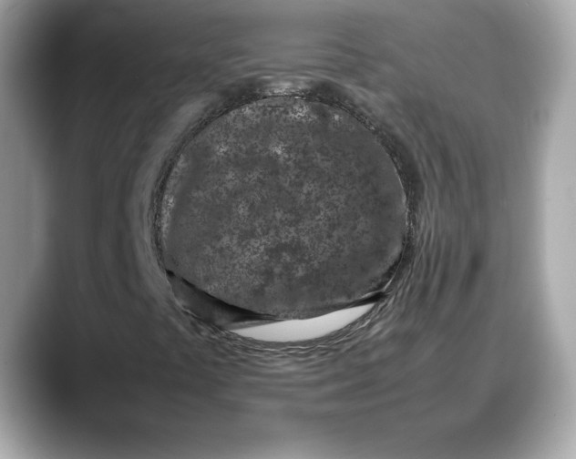 X0000088361441200706051015