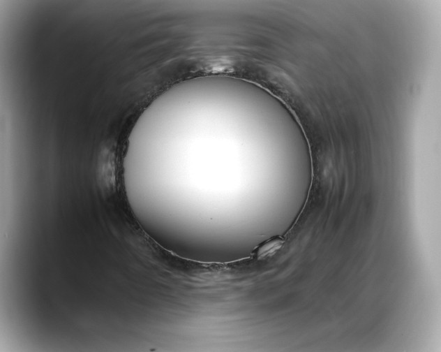 X0000088361442200706051015