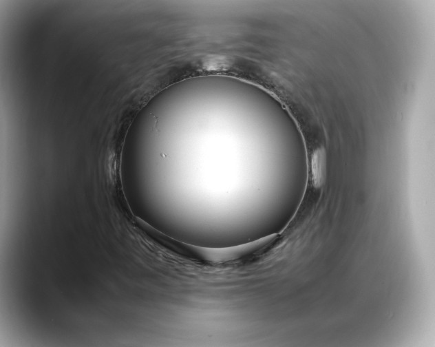 X0000088361443200706051015