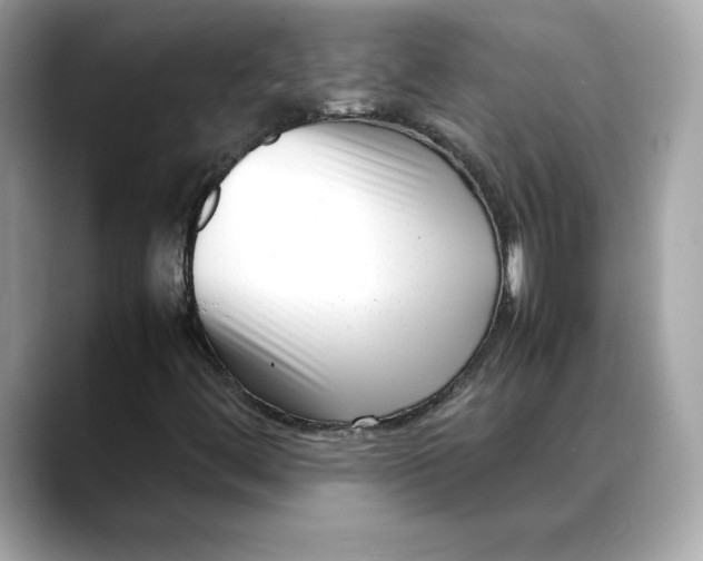 X0000088361444200706051015