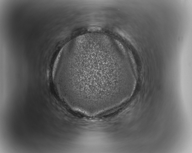 X0000088361445200706051015