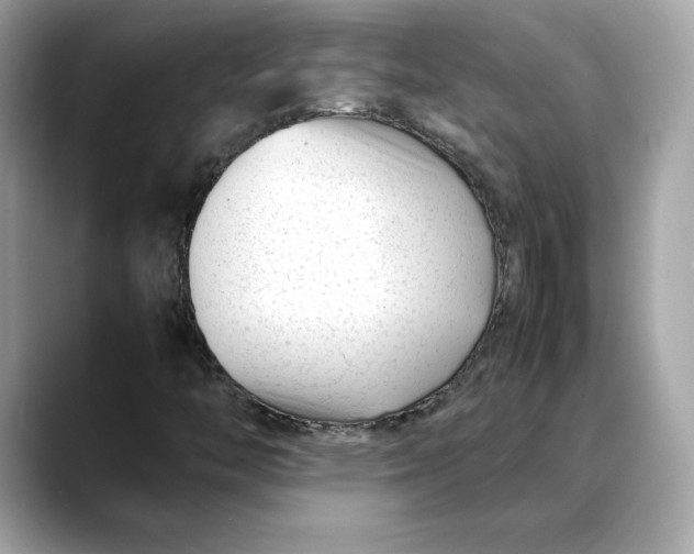 X0000088361446200706051015