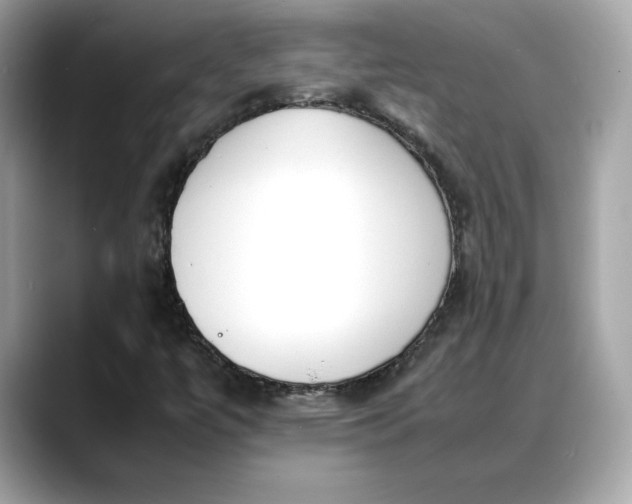 X0000088361447200706051015