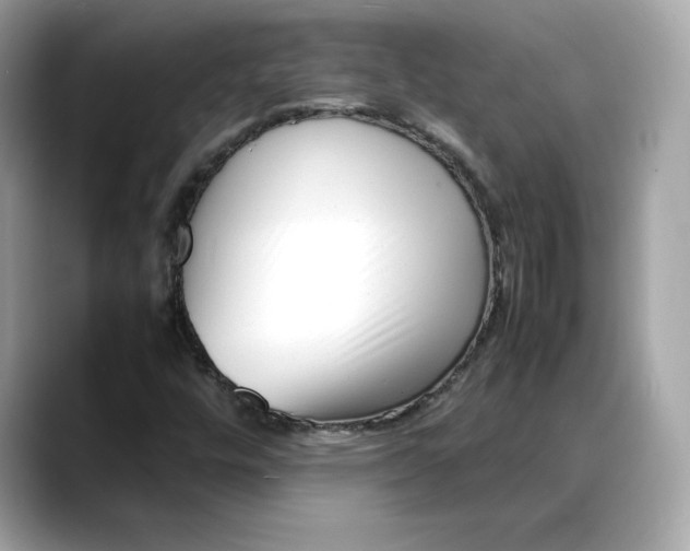 X0000088361448200706051015