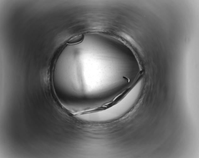 X0000088361450200706051015