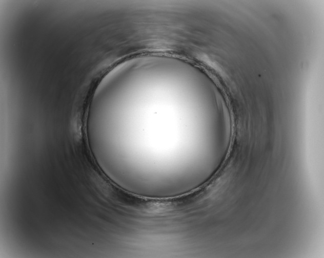 X0000088361451200706051015