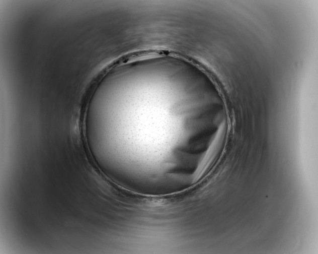 X0000088361452200706051015