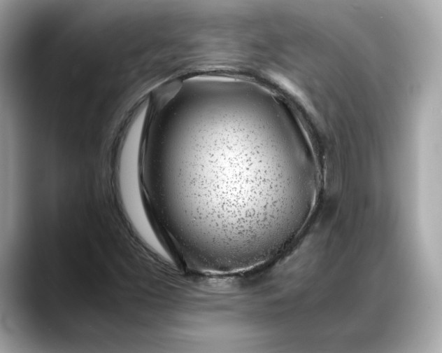 X0000088361453200706051015