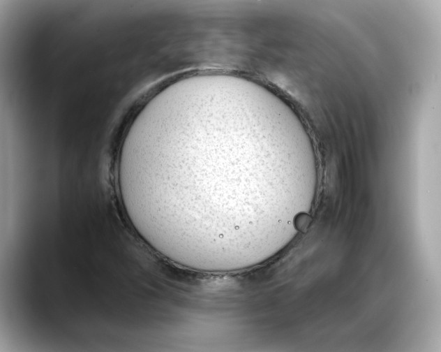 X0000088361454200706051015