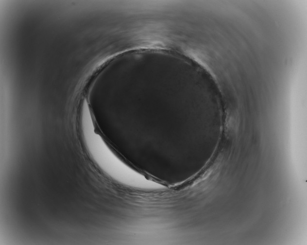 X0000088361455200706051015