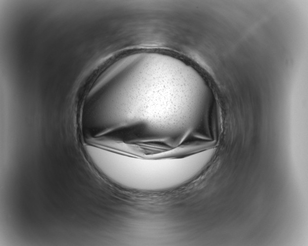 X0000088361456200706051015