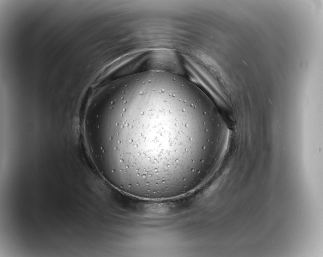 X0000088361457200706051015