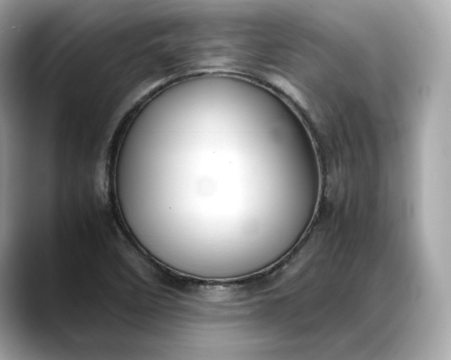 X0000088361458200706051015