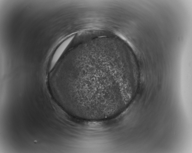 X0000088361459200706051014