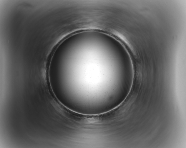 X0000088361460200706051014