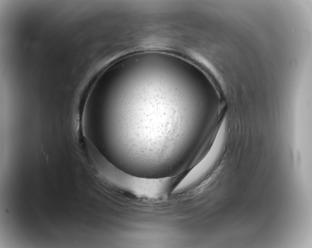 X0000088361461200706051014