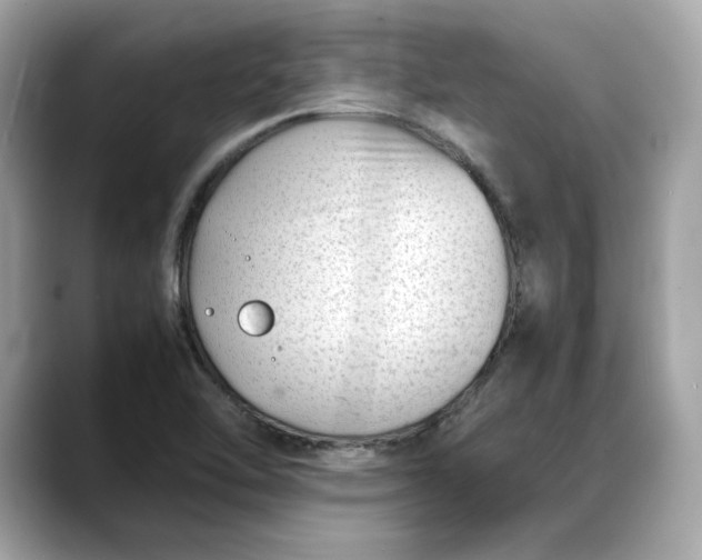 X0000088361462200706051014