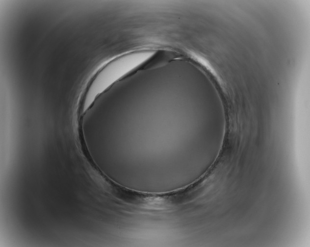 X0000088361463200706051014