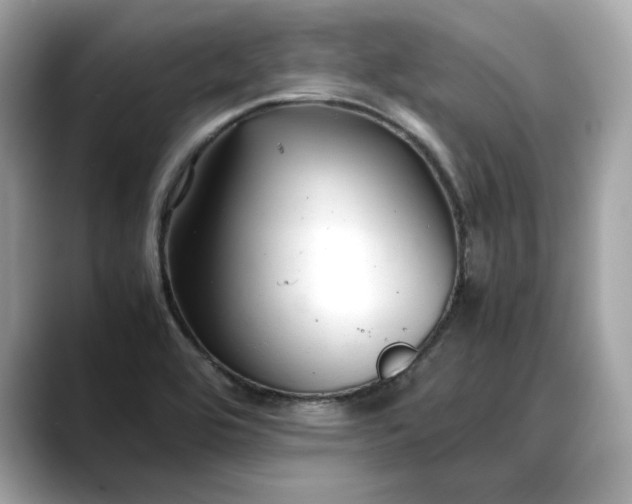 X0000088361464200706051014